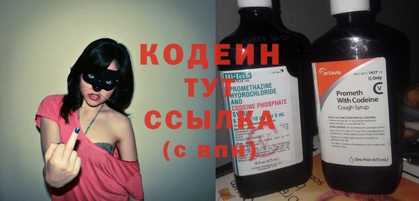 шишки Белокуриха