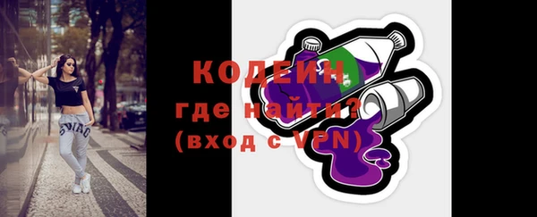 шишки Белокуриха