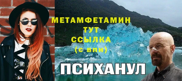 шишки Белокуриха