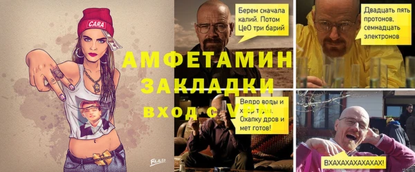 шишки Белокуриха