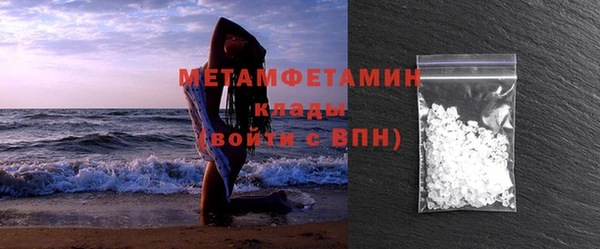шишки Белокуриха