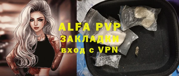 шишки Белокуриха