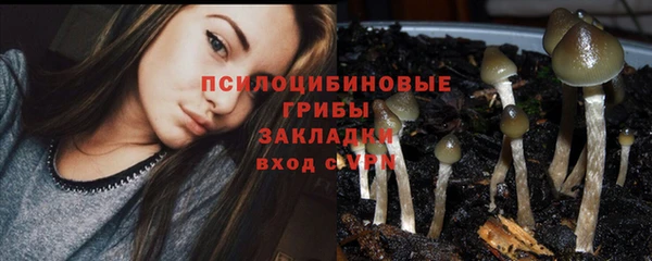 каннабис Гусиноозёрск