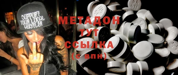 шишки Белокуриха