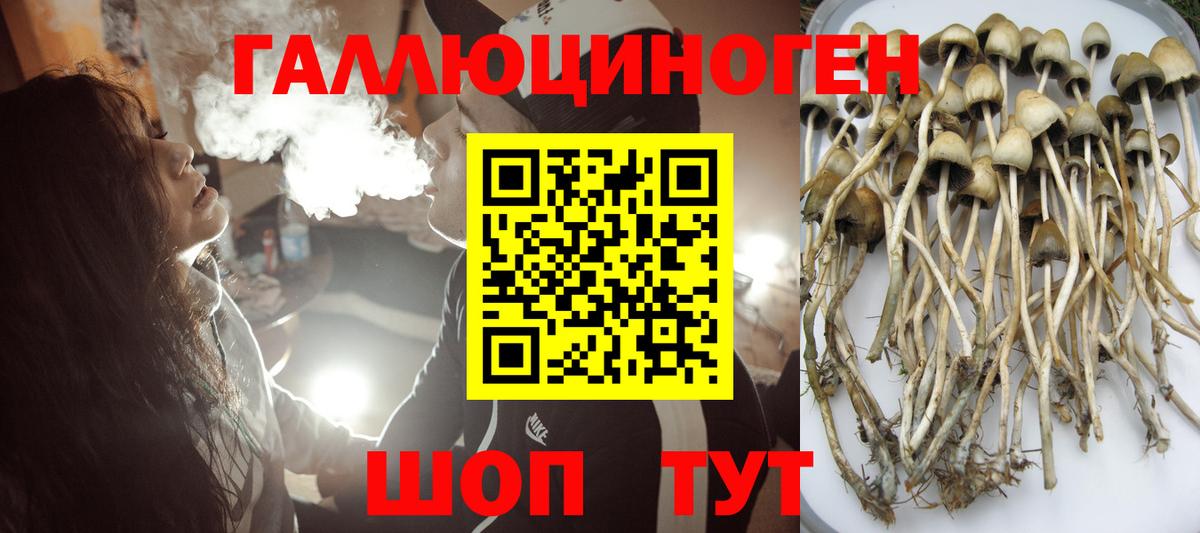 Галлюциногенные грибы Cubensis  Псилоцибиновые грибы Cubensis  Вход с VPN  Донецк 