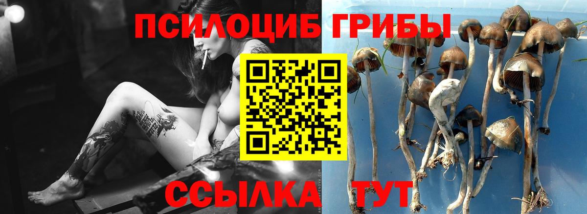 Галлюциногенные грибы ЛСД Донецк