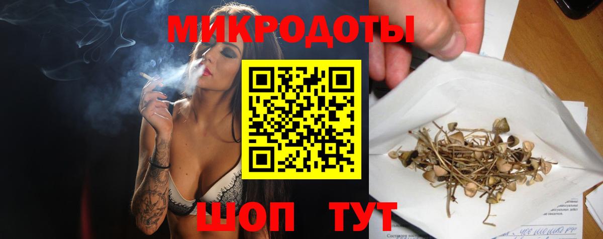 Псилоцибиновые грибы Cubensis Донецк