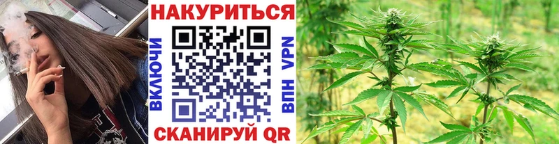 Бошки Шишки план  Донецк 