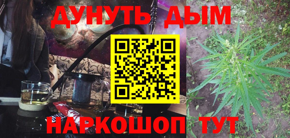 Бошки Шишки конопля  Канабис сатива  Донецк 